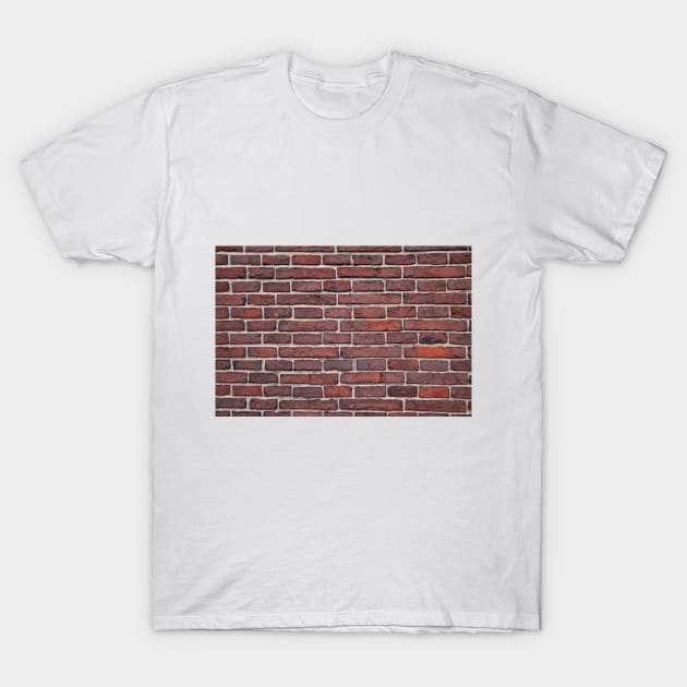 Image: Brick wall (old) T-Shirt by itemful
